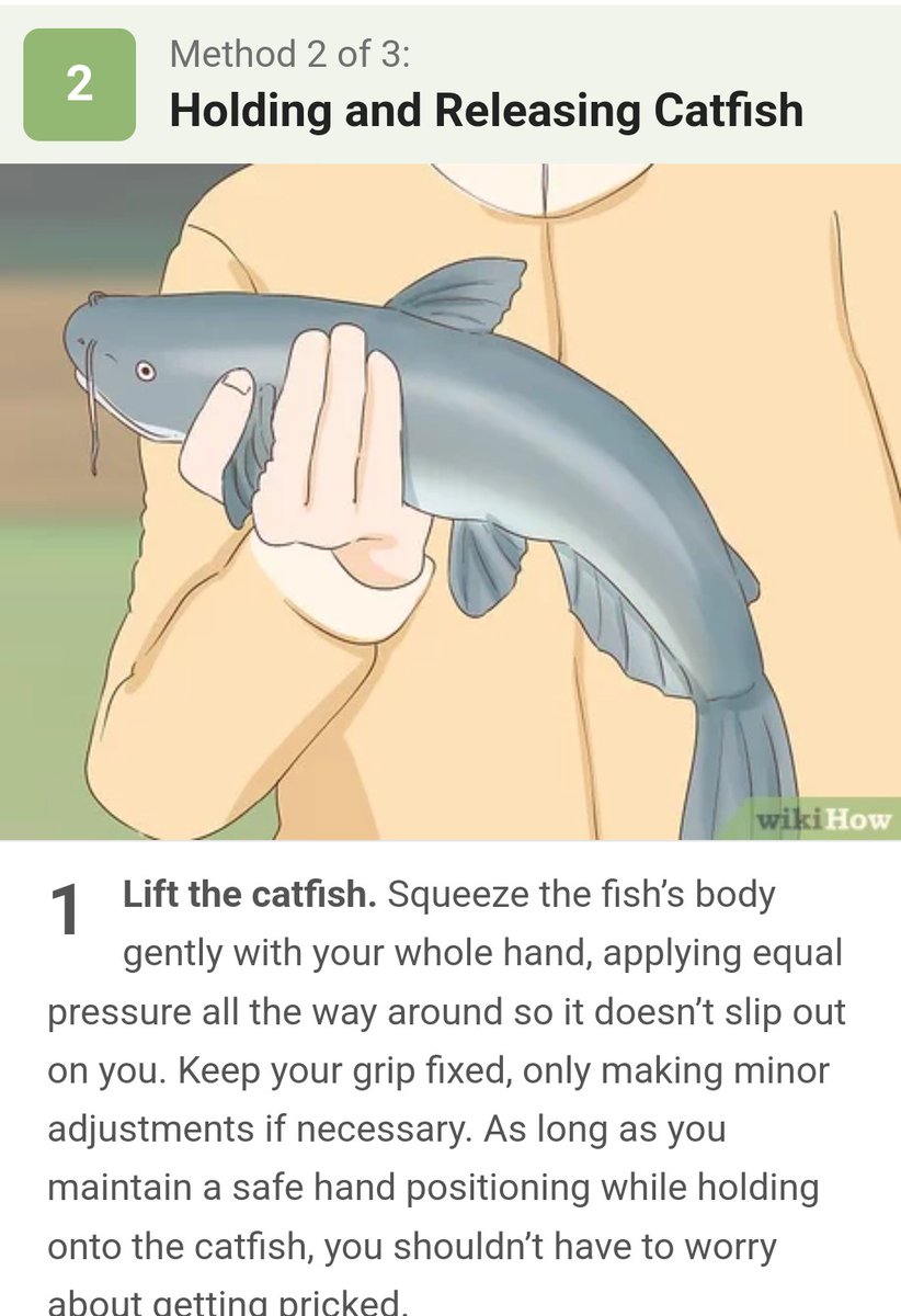 This is on purpose, right?