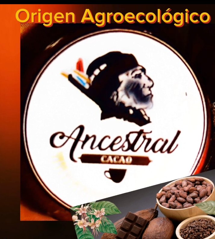 Mujeres Militantes de Moraicca (@mmoraicca) on Twitter photo Lanzamiento de nuestro Cacao Ancestral como el Necesario Alimento del Pueblo Originario. Agropecuaria Mi Conuquito Querido, Betijoque Trujillo. Moraicca Trinchera del Gran 5to Objetivo Historico. Cacao 100% Puro Garantia Agroecológica <a href="/alejareyesunesr/">alejandrinareyesunesr</a> <a href="/jhoagaby/">Jhoanna G Carrillo M</a> <a href="/NicolasMaduro/">Nicolás Maduro</a> Lanzamiento de nuestro Cacao Ancestral como el Necesario Alimento del Pueblo Originario. Agropecuaria Mi Conuquito Querido, Betijoque Trujillo. Moraicca Trinchera del Gran 5to Objetivo Historico. Cacao 100% Puro Garantia Agroecológica <a href="/alejareyesunesr/">alejandrinareyesunesr</a> <a href="/jhoagaby/">Jhoanna G Carrillo M</a> <a href="/NicolasMaduro/">Nicolás Maduro</a>