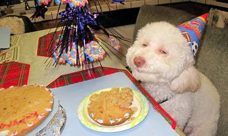 Ness🔥🦎❤️🦉✨ (LVLUP 2026) tweet media