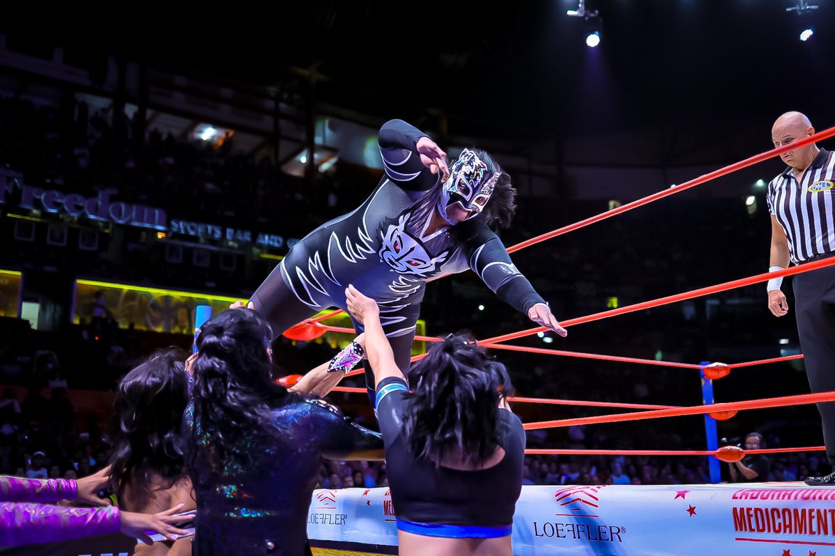 Lucha Libre CMLL tweet media