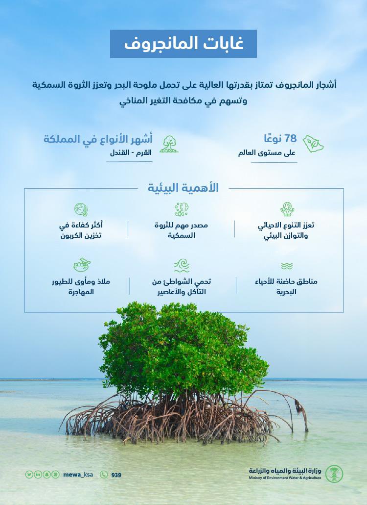 AssharifAli's tweet photo. @saudi_aramco https://t.co/Dh481Z6r3s