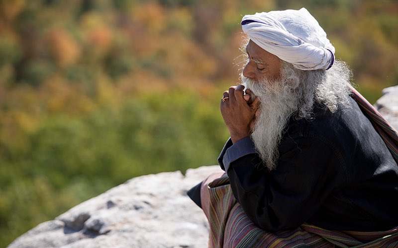 Peace and joy happen neither in the quietness of the forest, nor in the accomplishments of the marketplace, but only from within. #SadhguruQuotes