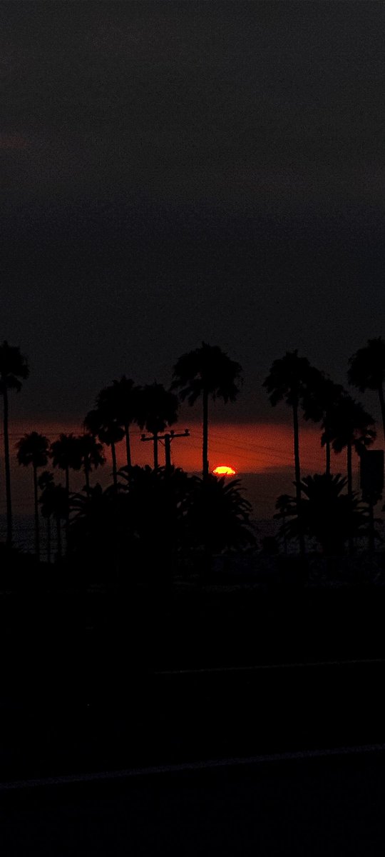 Prof. Guillermo Bautista Murillo (@kaplanbm) on Twitter photo 