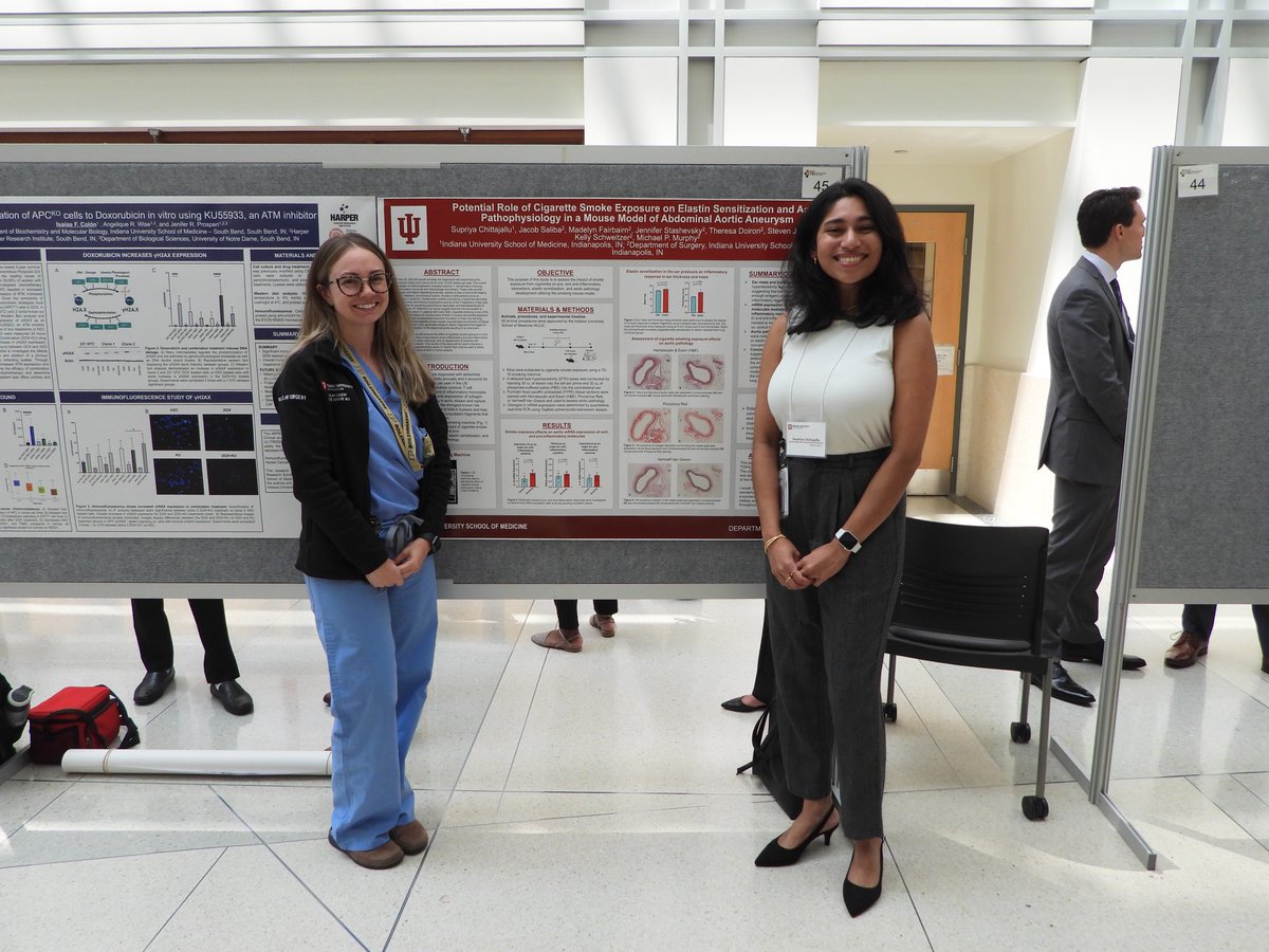 Supriya Chittajallu, MBA (@supchitt) on Twitter photo Ever so grateful to <a href="/IU_Surgery/">Indiana Surgery -Indiana Univ School of Medicine</a>
<a href="/iu_vascular/">Division of Vascular Surgery at IUSM</a> today after having the opportunity to present on my NIH funded research through IMPRS! Thank you to the tireless efforts and mentorship of the Dr. Murphy lab family for their help in making today a reality. Ever so grateful to <a href="/IU_Surgery/">Indiana Surgery -Indiana Univ School of Medicine</a>
<a href="/iu_vascular/">Division of Vascular Surgery at IUSM</a> today after having the opportunity to present on my NIH funded research through IMPRS! Thank you to the tireless efforts and mentorship of the Dr. Murphy lab family for their help in making today a reality.