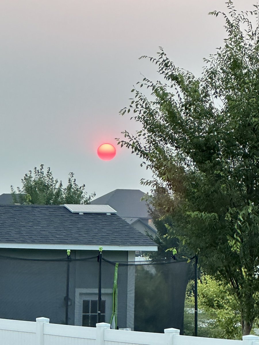 steph_crimson's tweet image. We have a lot of smoke coming into Idaho from the Oregon fires, which is sad for Oregon, but wow!! Look at that sun! 💕

#nofilter #pinksun #sunset