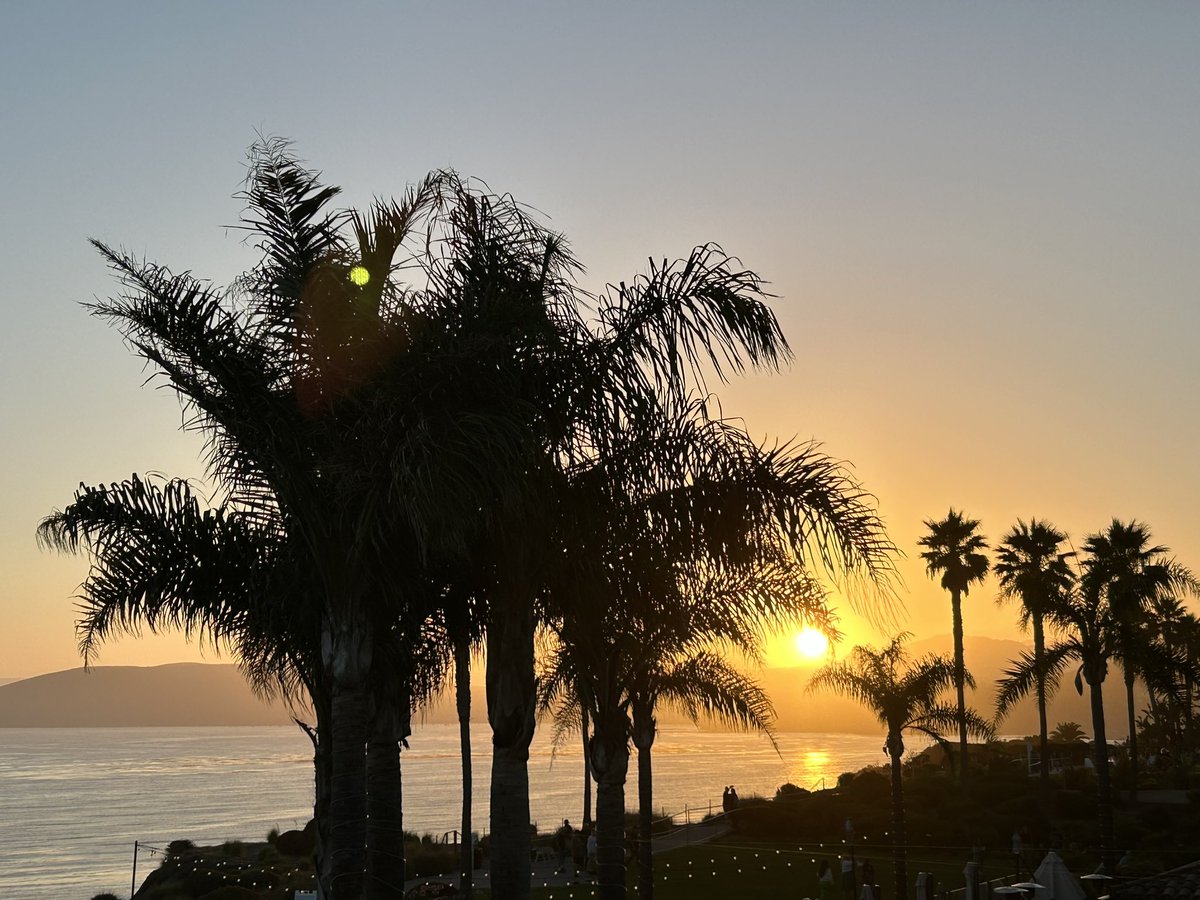 Sue Phillips tweet media