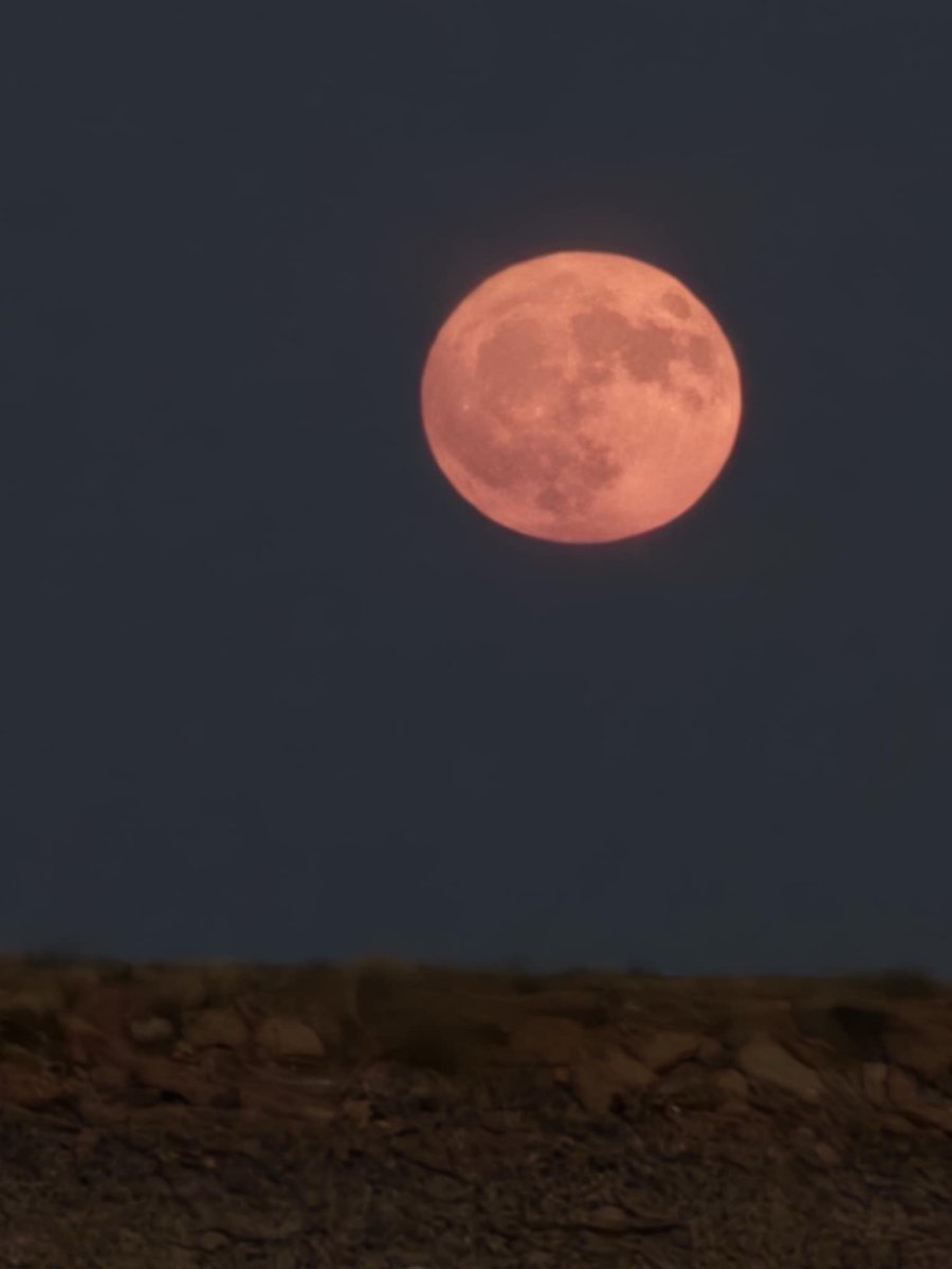 Did a little night fishing the other night! Didn’t know pictures were being taken, but I’m glad they were!