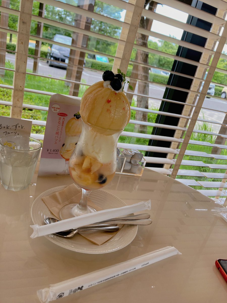 #フルーツピークス  #フルーツパフェ  #桃パフェ 

毎年恒例♡