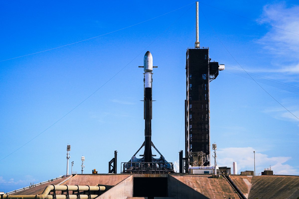 SpaceX tweet media