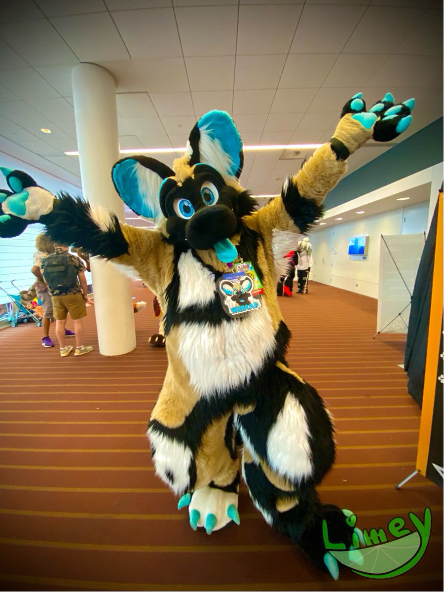 The more <a href="/FuzzyHubcap/">Hubcap</a>, the merrier! 💚💚

#AC2024