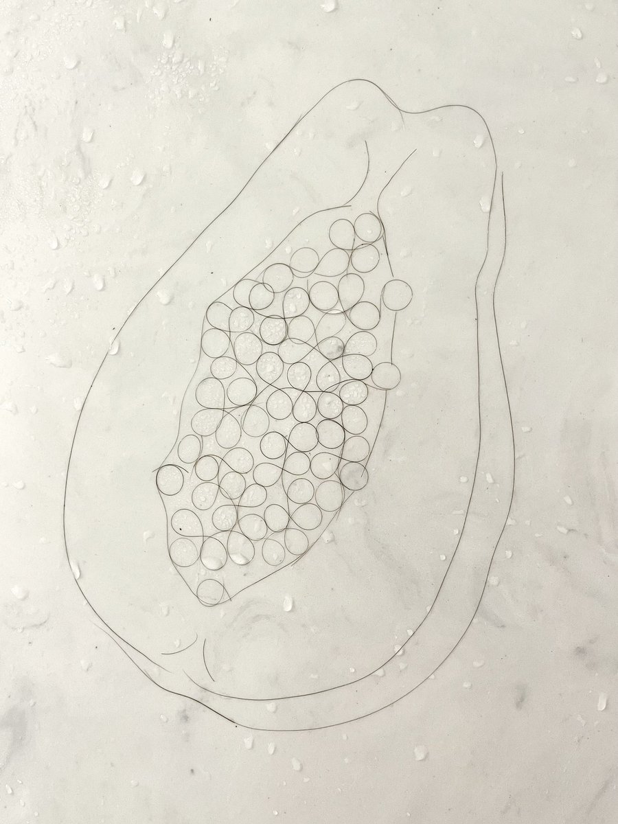 This past week, our sweet fetus was the size of a papaya. Shower Hair Masterpiece #577. “Papaya” #ShowerHairMasterpiece