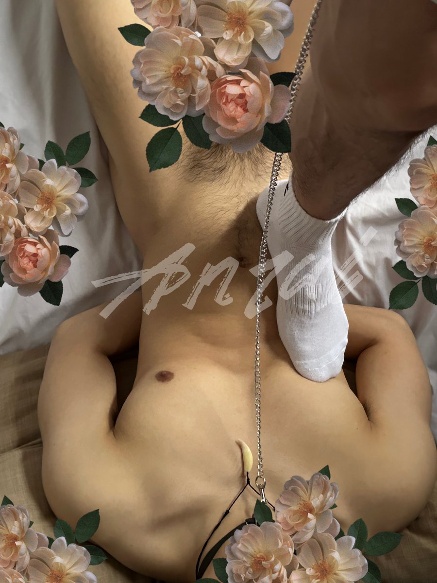 安仔Anzai (@anzaizaii1s) on Twitter photo 