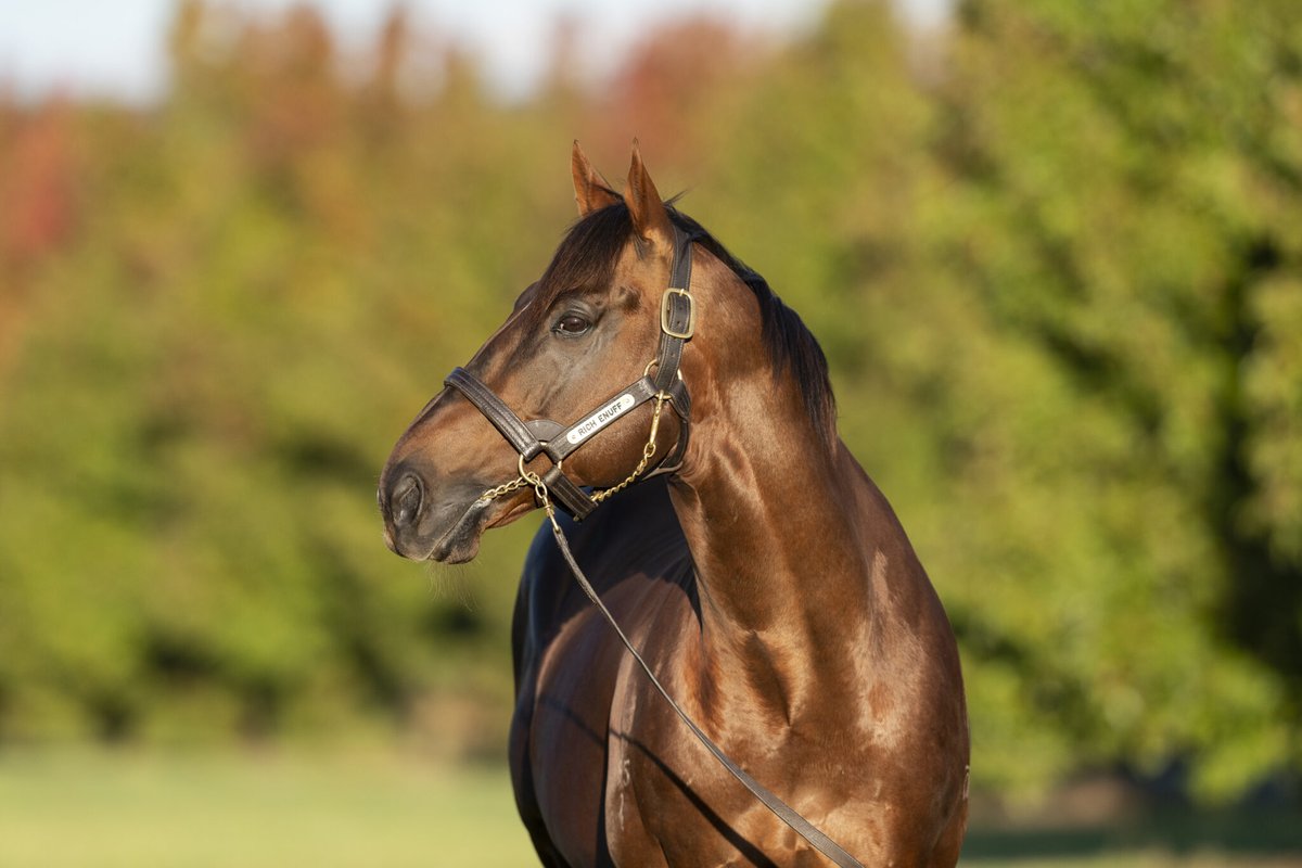 Woodside_Park's tweet image. Another impressive win by CLEANEMUP, the unbeaten daughter of RICH ENUFF 💰

Striking at over 71% 💥

Congratulations to Dion Luciani and all connections 👏