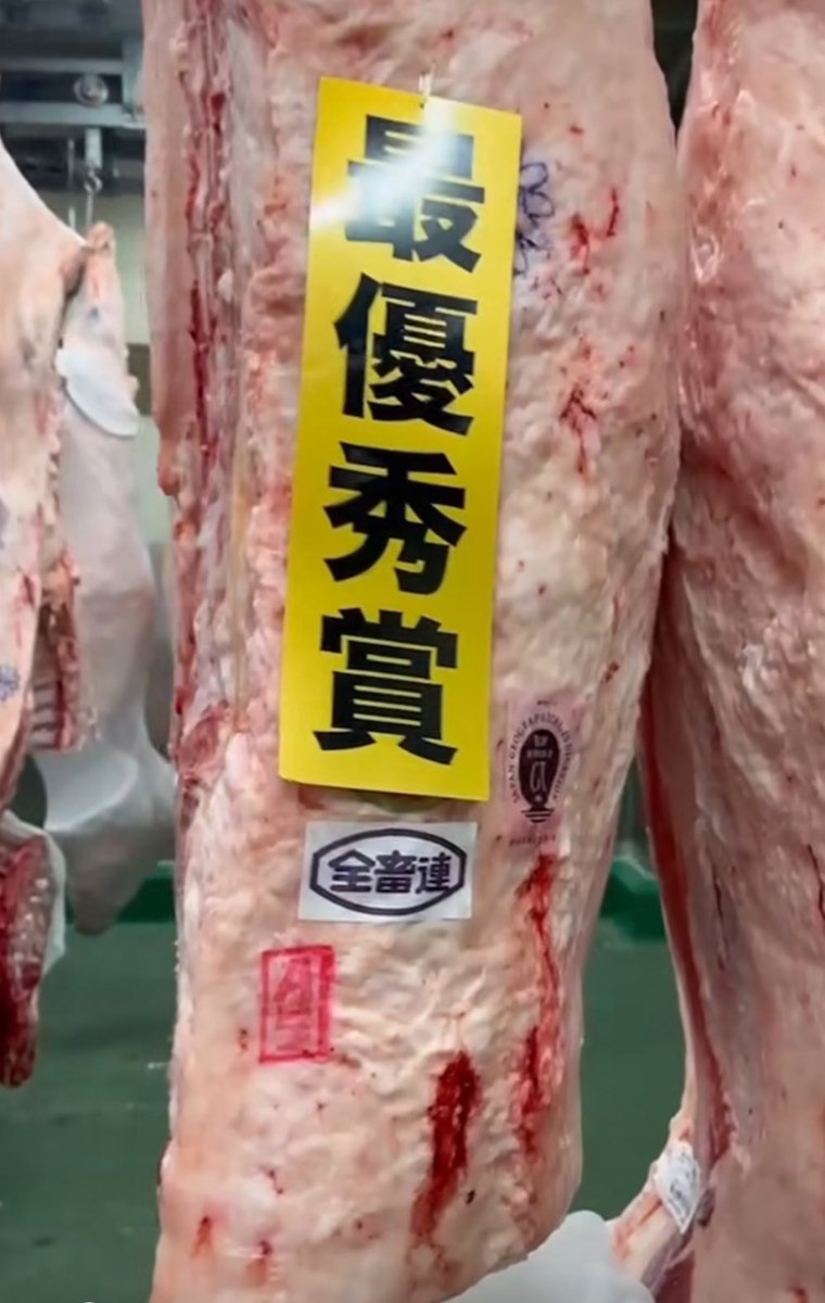 sakaimasaru0207's tweet photo. 最優秀賞を受賞した
41ヶ月長期肥育の但馬玄肩ロース
今年の夏No.1の神戸牛で
その中で牛一頭から
わずか4kg前後しか
取れない希少部位ハネシタ
きれいなサシが入っていて
食べるととても柔らかいのが特徴です
初めてお越しの方、常連様
ぜひご賞味ください🔥🙌
#availableinenglish https://t.co/Q4myBWmiZk