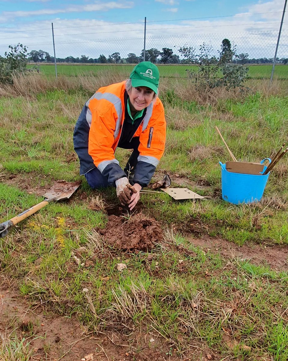 Thank you to our amazing volunteers who joined us for National Tree Day at Forbes Recycling and Waste Depot this morning. 

Nothing like good clean fun! 😁

<a href="/LandcareNSW/">Landcare NSW</a>
#amazingforbes #forbesnsw #centralwestnsw