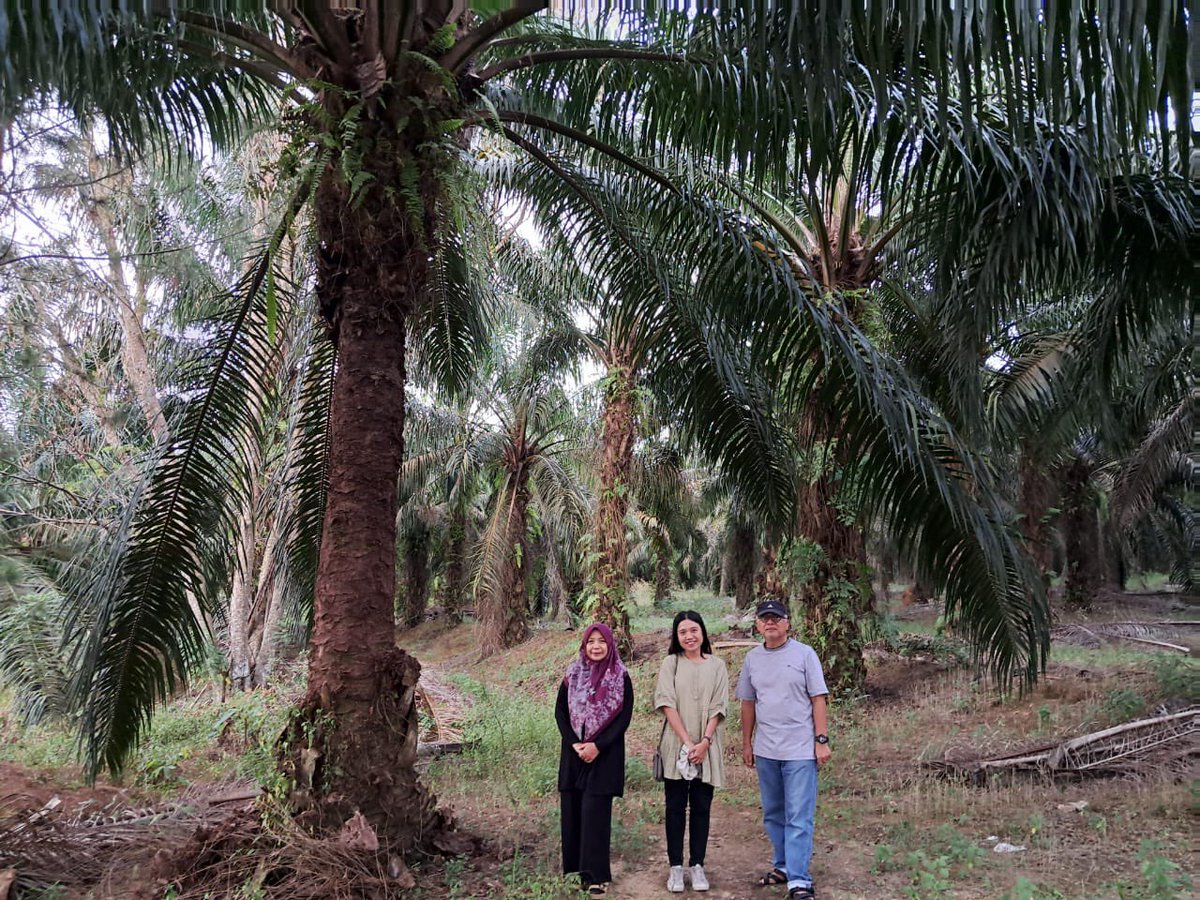 Erja Kettunen-Matilainen tweet media