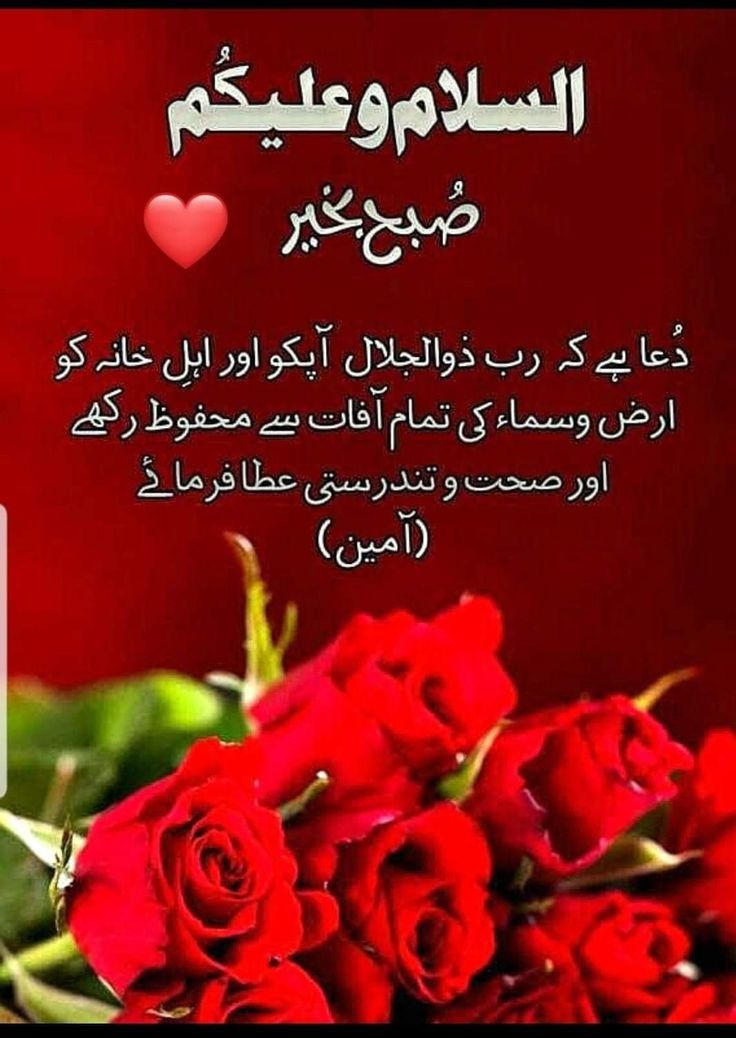 Khalil Gujjani tweet media