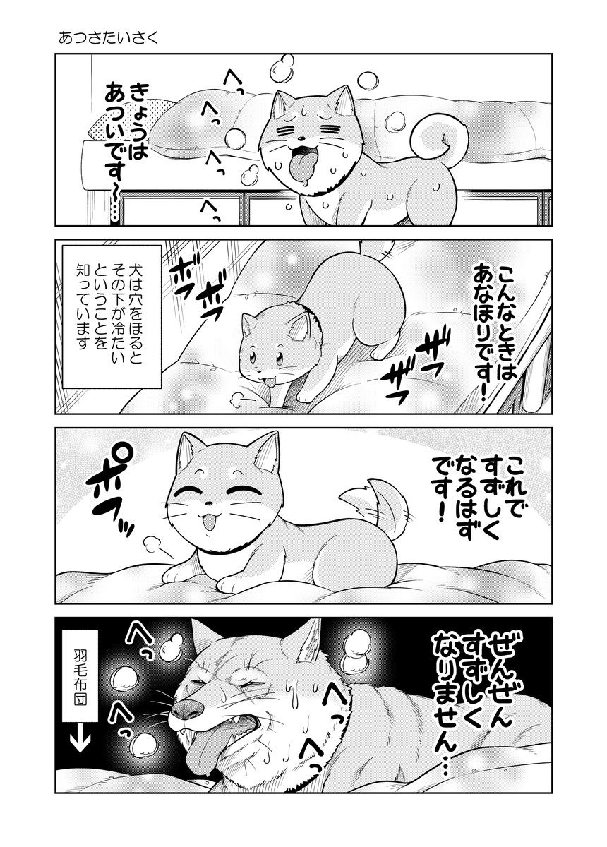 6/9 