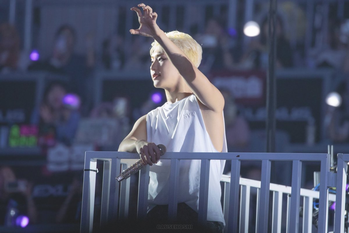 causeHOSHI's tweet photo. 240724 캐럿랜드 #호시 https://t.co/KntyrwjQIP
