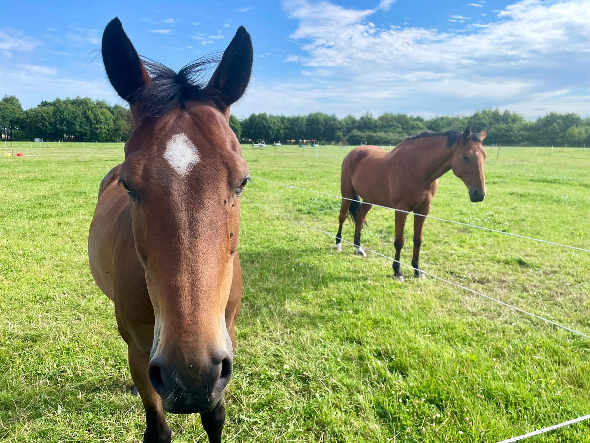 Paul & Debra Baker tweet media