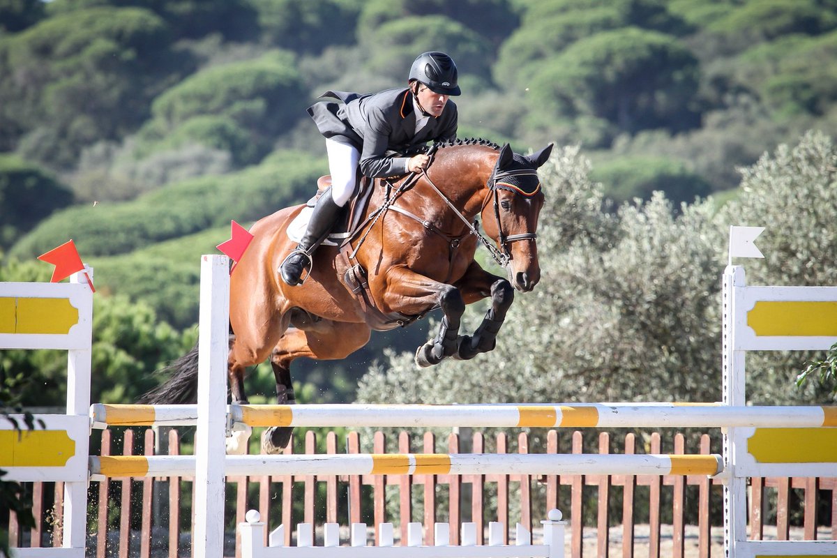 destinoolimpico's tweet image. Concurso Completo #Hipica Palacio de Versalles 🇨🇵

Doma 🐎

Programación: 

🇪🇸 Carlos Díaz con Taraje CP (11:21h)
🇪🇸 Esteban Benítez con Utrera AA (12:18h)

#Paris2024
#JuegosOlímpicosParís2024