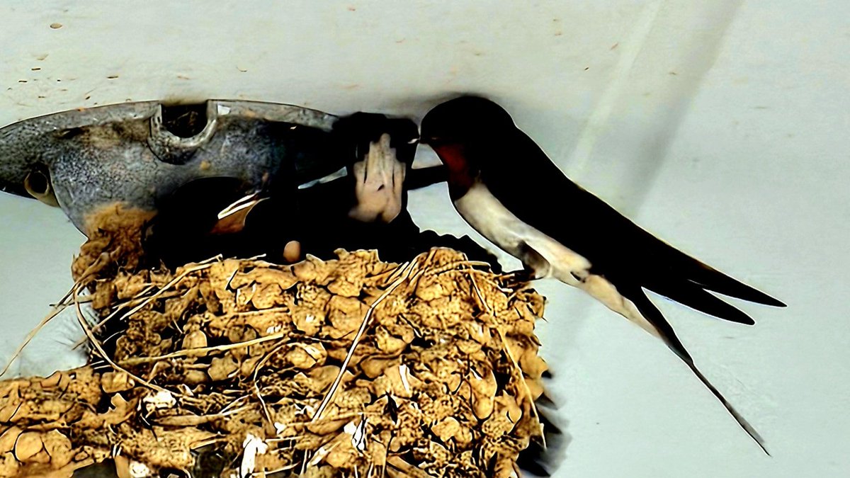 강남으로
      편지를 써야겠다