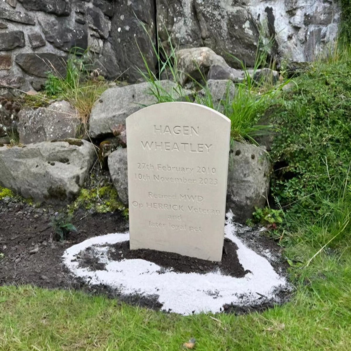 HERO PAWS tweet media