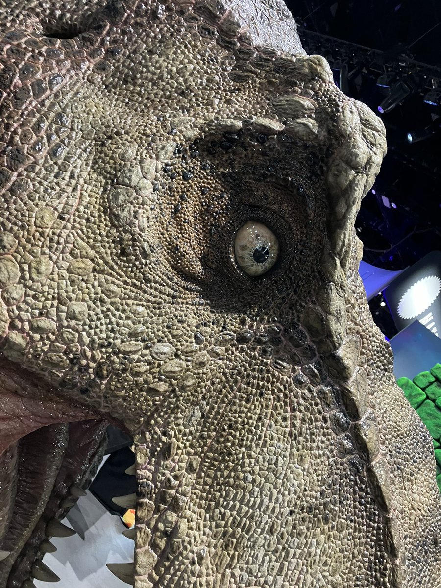 sovhollycolle's tweet photo. ECCブースに展示されていたT-REXですが、なんと1/1スケール‼️しかも商品‼️

実物の迫力は保証します！🦖
でも土地の広いアメリカの家ならまだしも、日本の家では買っても置く場所が…
取り扱ったら注文してくれる方いますかね？

#コミコン
#SDCC
#ジュラシックパーク https://t.co/xtnF64XquO