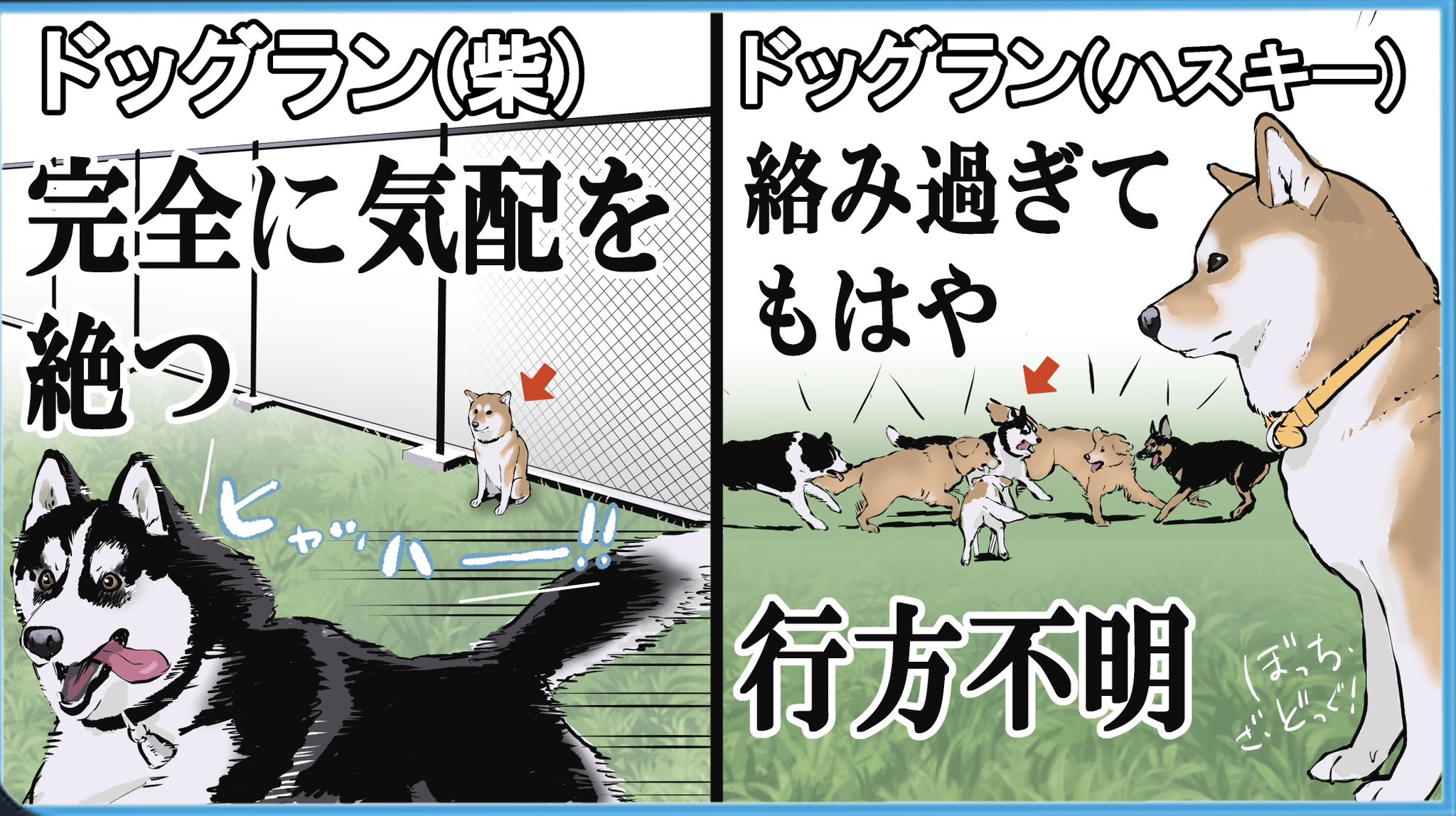やっぱり柴犬さんのツボ : じつは天然記念物 : 漫画と川柳が脳に