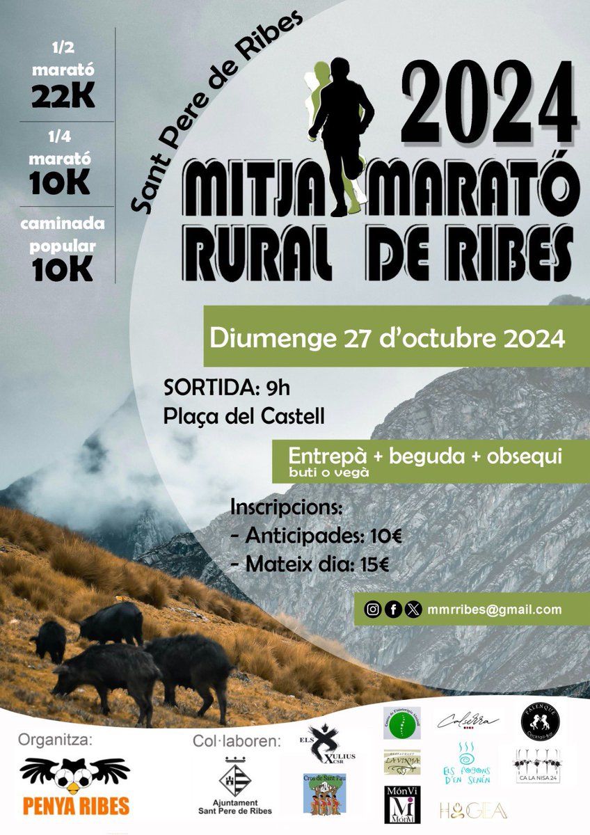 Falten 3 mesos per la 12a Edició, de la #MMRRibes el 27 d’Octubre 9.00 
Mantenim la filosofia de cada any amb nous recorreguts de #21K #10K #CAMINADA10K  Imprescindible got o bidó
#NoCrono #NoRanking
#córrer #MMRRibes2024 #MitjaMaratóRuralRibes #SomRurals #SPRIBES