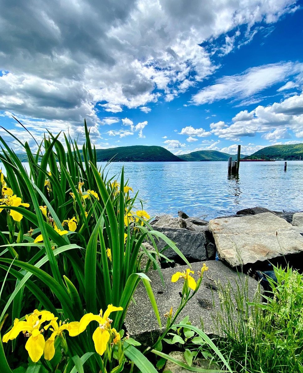 wyarts's tweet photo. @ferg104 shared her views from a waterside park in Peekskill, a place dear to my heart... for a dear friend who made a beautiful home there.  #locallove #peekskill #westchesterny #westchestercounty #northofnyc https://t.co/GplhNTkZuY