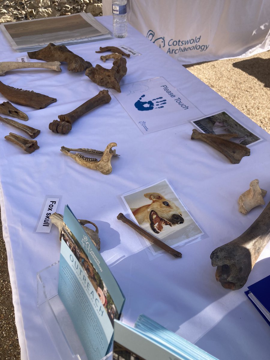 heritageCMAS's tweet photo. We are here @SalisburyMuseum for the #FestivalOfArchaeology don’t miss out on what is set to be a fantastic weekend! https://t.co/AT0JAjNOoZ