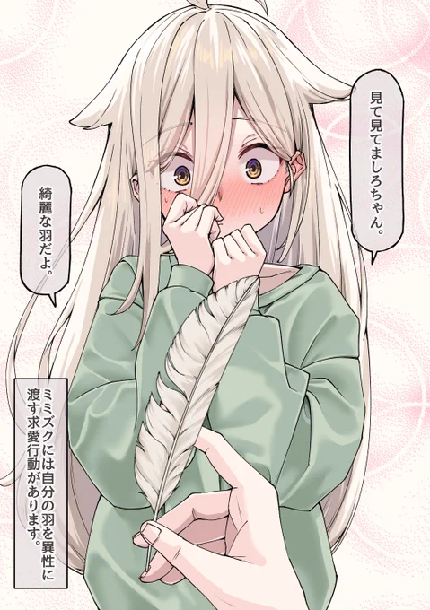 求愛行動されていると勘違いするましろちゃん🦉   (1/6) 