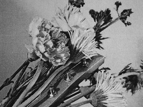 SLOWMOTION
明日日曜日15:00スタートです🫧

SG/Andrew PeklerのLiveは18:00から

15:00-16:00 B2B
16:00-18:30 Loe
18:30-19:30 SG/Andrew Pekler
19:30-22:00 AOKI takamasa
22:00-23:00 ENDURANCE