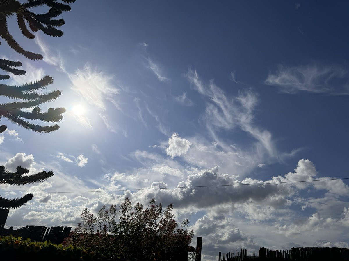 DoneInALifetime's tweet image. The sky is the limit. 🥰