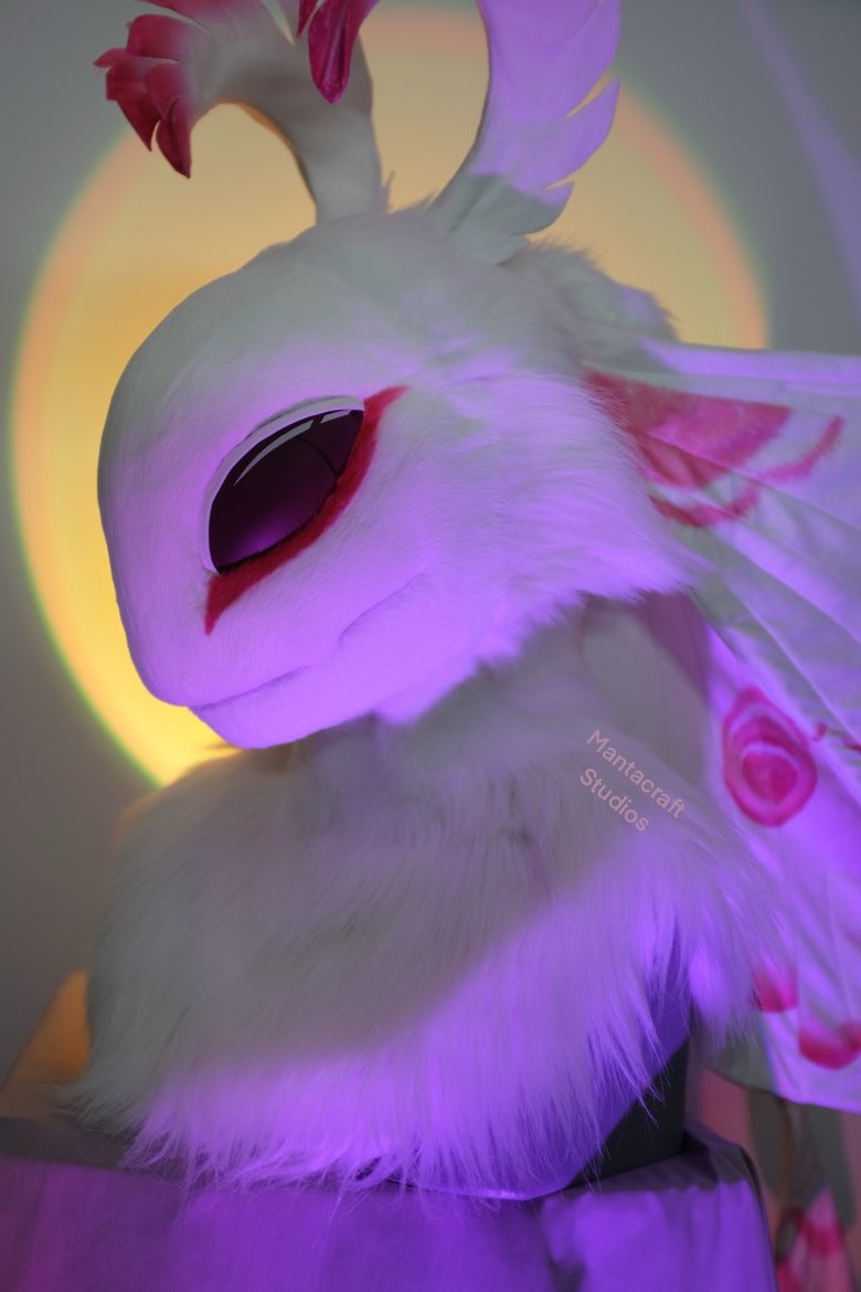 mantacrafts's tweet image. My most complex fursuit head to date, Sundair the Blood Moth
