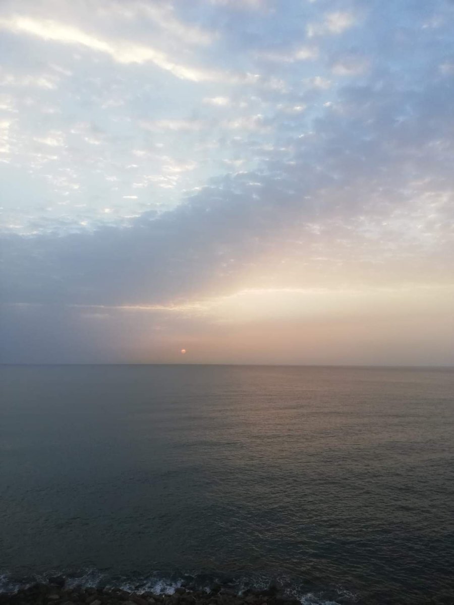 "La gratitud es salud de la inteligencia"