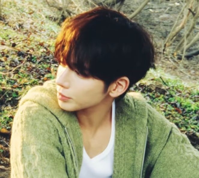 tyeonny_'s tweet photo. 🍀💭🦢🌿 https://t.co/0xil8a1v3e