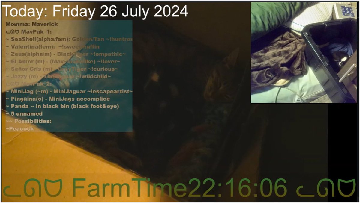 EtherzMavPak's tweet photo. Meowww Momma is in Bin #1 right now nursing 5 of the kittens. They just turned 13 days old tonight.
https://t.co/g2ITWqRkRb
#kittensoftwitter #kittycam #catcam https://t.co/VapMBXWihl