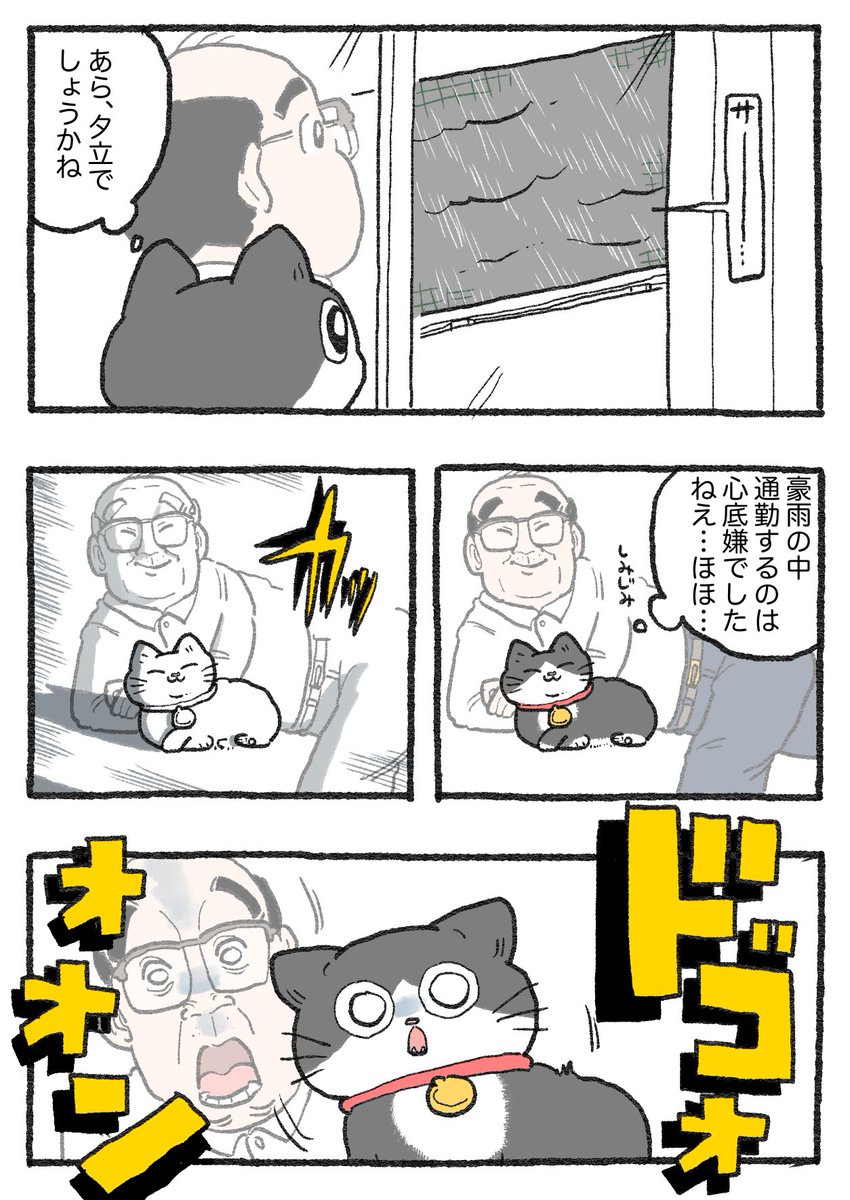 ねこに転生したおじさん。その513 | やじま@ねこおじ7・8巻予約中 さん
