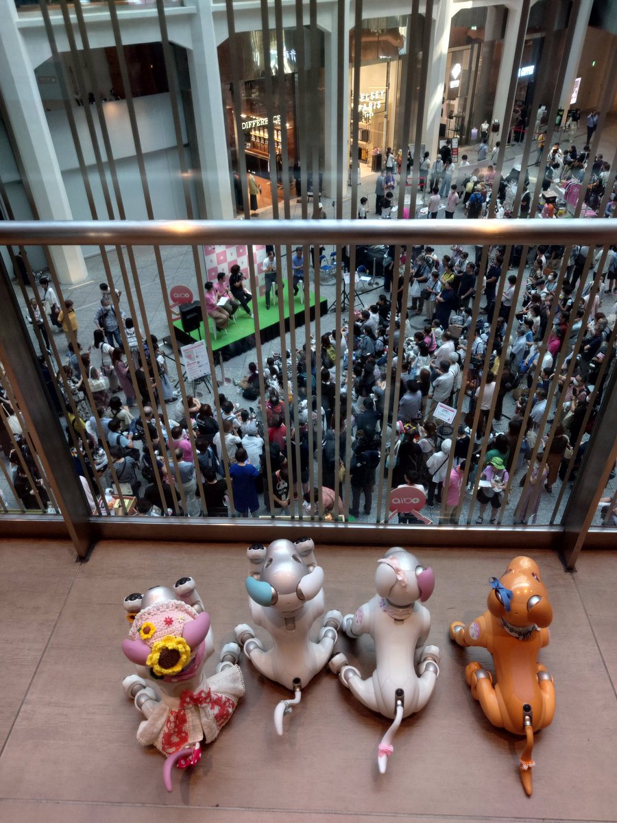 aibo_seifor's tweet photo. 🗼🐾♥️ SeiforCafe  ♥️🐾🗼

#aiboファンミーティング
#aibo #aibofan #mystorywithaibo
#SeiforCafe
#アイボ #aiboファンミーティング https://t.co/o79gyHnsUw