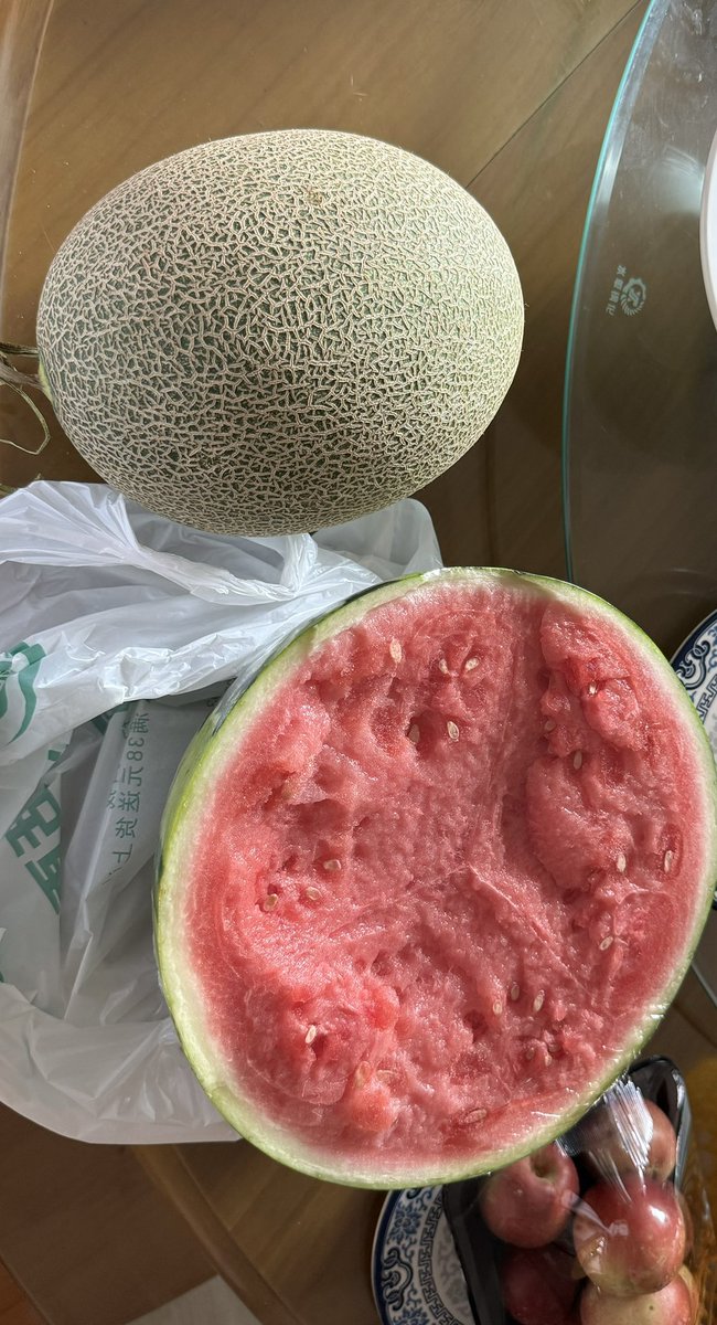 SnowFoxy tweet media