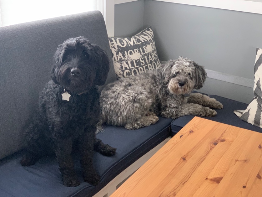 Tim Monks (@itsmonktastic) on Twitter photo 