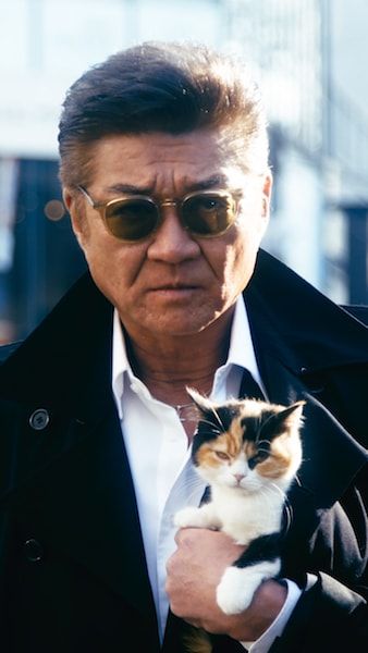 137Force's tweet photo. I'm losing it why does the cat look exactly like him https://t.co/mg3zgkjToP