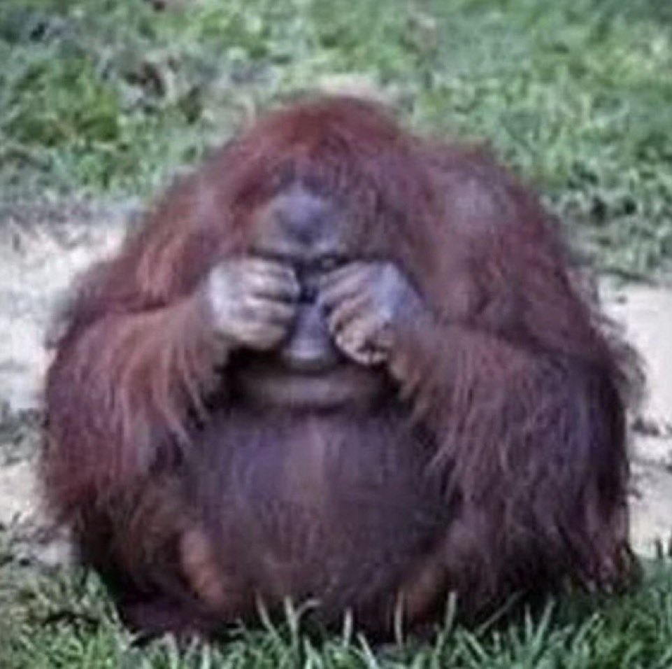 mes 💌 tweet media