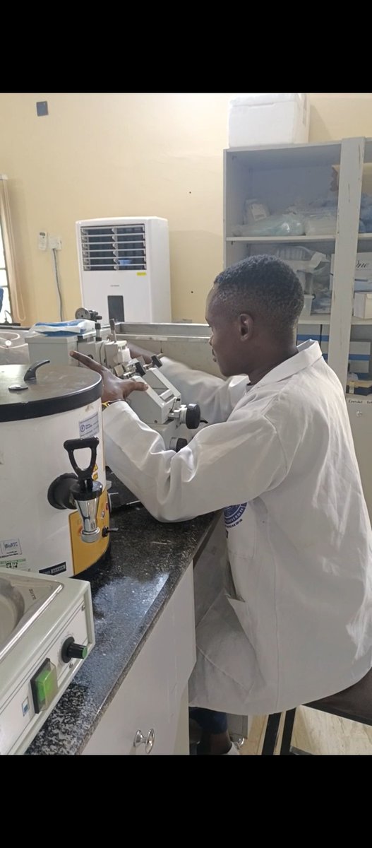 Adeesholabello's tweet photo. I am genuinely excited about the potential outcomes of my study and I look forward to the remaining weeks of my fellowship. 
Thank you @ChanZuckerberg @mahmoudbukar for  this wonderful initiative https://t.co/lNEWTQgnaX