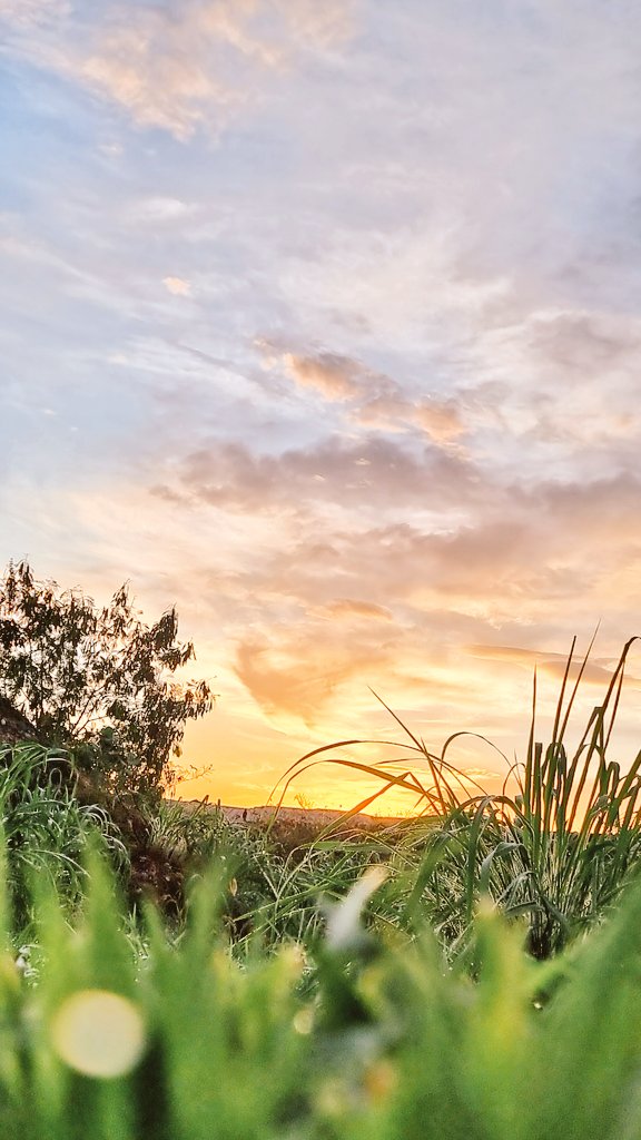 Cada día trae su propio afán. Tu decides como lidiar lo.