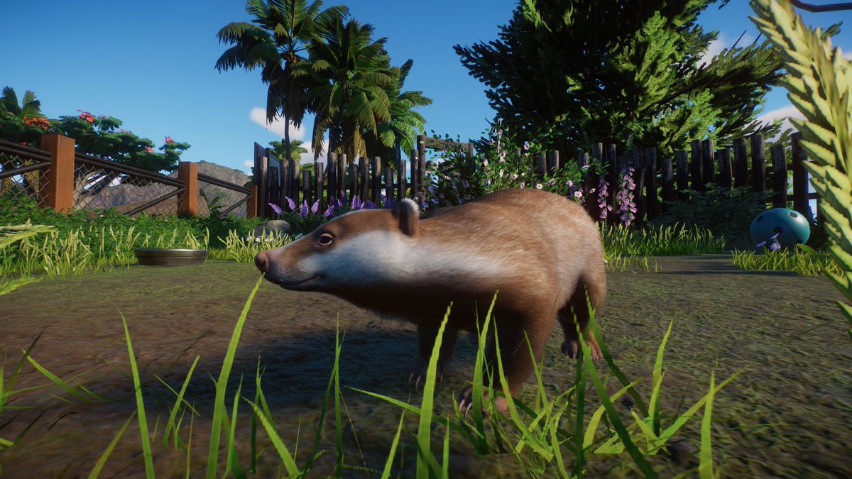 Paleo_Pizza's tweet photo. Welcome back to Mesa Zoo, where today we have a new Badger Enclosure on display! 🦡
https://t.co/j80wMHj11Z
🦒 - @planetzoogame
#planetzoo #planetzoogame #planetzooinspiration #planetzoodesign #planetzoobuild https://t.co/Nlh4T08dFw