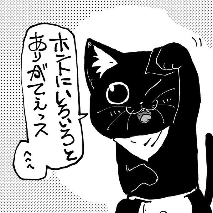 本当にイロイロとすべからくありがとうございます
#ラーメン赤猫 