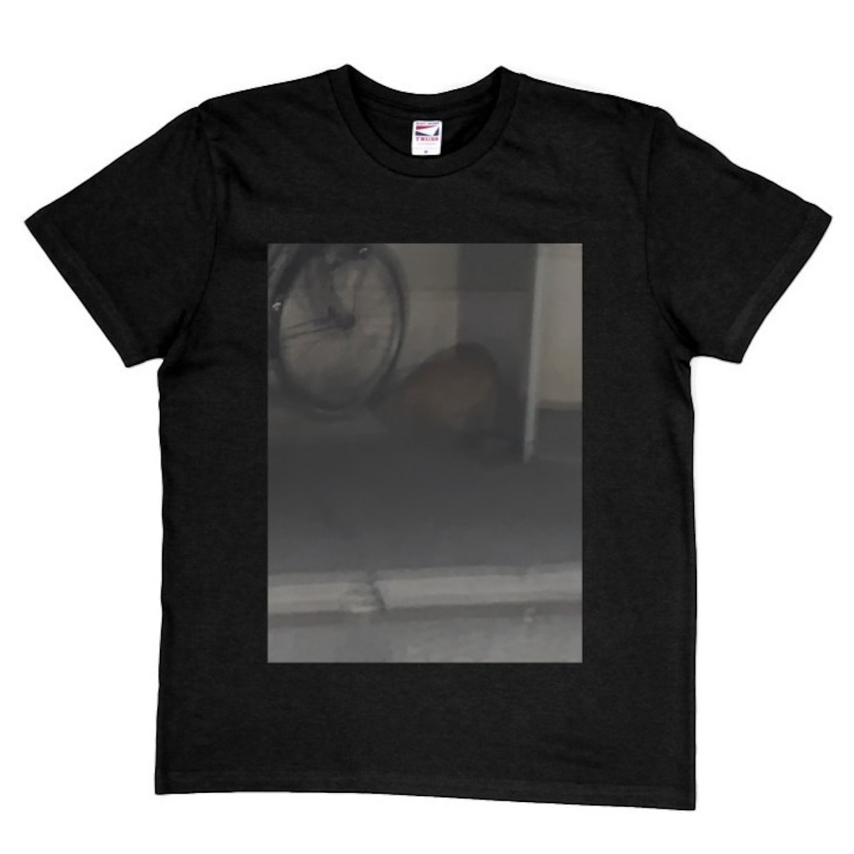 fis_by_MS's tweet photo. ■新作/再販
販売終了の【部分プリントTシャツ】（半袖・綿）に一部新柄が加わり再販となります。

ご好評いただいた「うちのねこ」「パノプティコン」「メインコンセプト」「神・人・法」に「よその猫」「埼玉」が仲間入り🐈‍⬛

【部分プリントTシャツ】全商品はこちら→
https://t.co/4QnOe9l6Sm https://t.co/ClFJDBbgYN